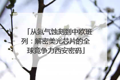 从氮气蚀刻到中欧班列：解密美光芯片的全球竞争力西安密码