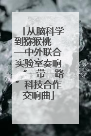 从脑科学到猕猴桃——中外联合实验室奏响“一带一路”科技合作交响曲