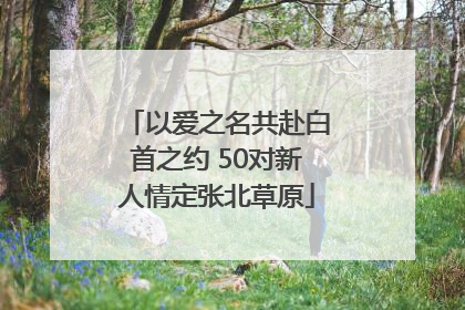 以爱之名共赴白首之约 50对新人情定张北草原