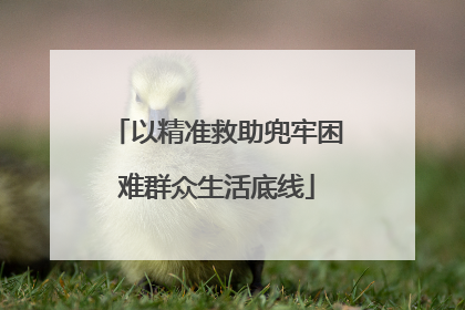 以精准救助兜牢困难群众生活底线