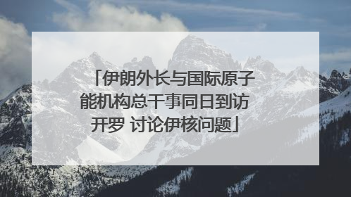 伊朗外长与国际原子能机构总干事同日到访开罗 讨论伊核问题