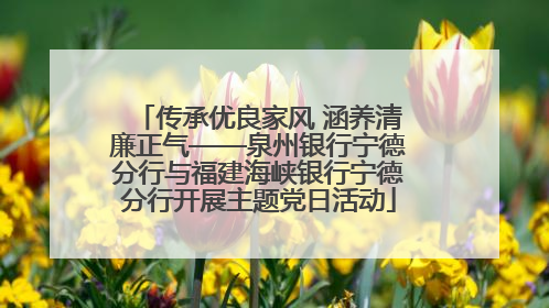 传承优良家风 涵养清廉正气——泉州银行宁德分行与福建海峡银行宁德分行开展主题党日活动