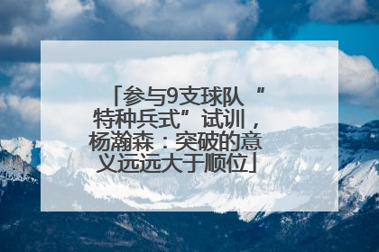 参与9支球队“特种兵式”试训，杨瀚森：突破的意义远远大于顺位
