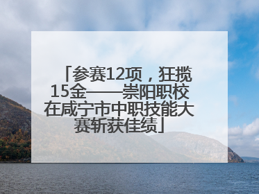 参赛12项，狂揽15金——崇阳职校在咸宁市中职技能大赛斩获佳绩