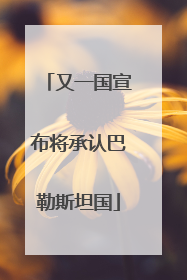 又一国宣布将承认巴勒斯坦国