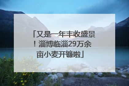 又是一年丰收盛景！淄博临淄29万余亩小麦开镰啦