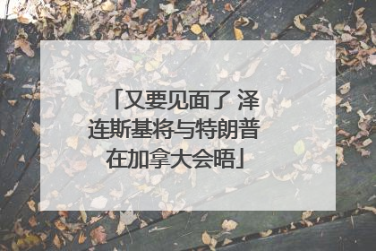 又要见面了 泽连斯基将与特朗普在加拿大会晤