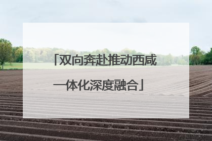 双向奔赴推动西咸一体化深度融合