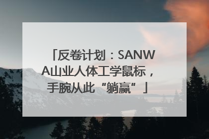反卷计划：SANWA山业人体工学鼠标，手腕从此“躺赢”