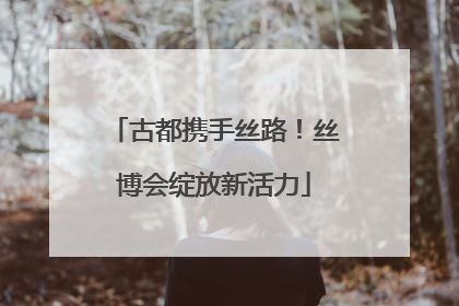 古都携手丝路！丝博会绽放新活力