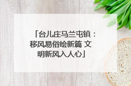 台儿庄马兰屯镇：移风易俗绘新篇 文明新风入人心