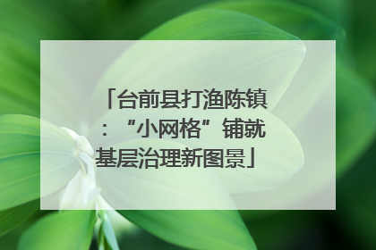 台前县打渔陈镇：“小网格”铺就基层治理新图景