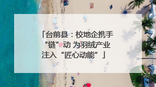 台前县：校地企携手“链”动 为羽绒产业注入“匠心动能”