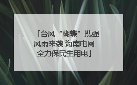 台风“蝴蝶”携强风雨来袭 海南电网全力保民生用电
