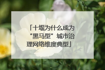 十堰为什么成为“黑马型”城市治理网络维度典型