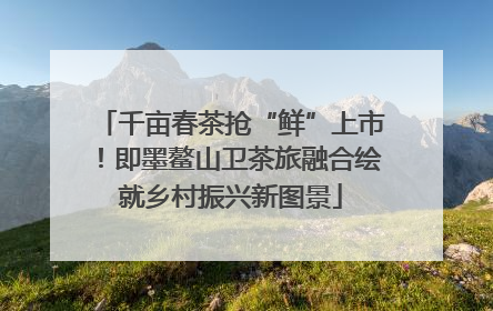 千亩春茶抢“鲜”上市！即墨鳌山卫茶旅融合绘就乡村振兴新图景