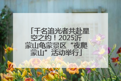 千名追光者共赴星空之约！2025沂蒙山龟蒙景区“夜爬蒙山”活动举行