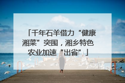 千年石羊借力“健康湘菜”突围，湘乡特色农业加速“出省”
