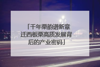 千年栗韵谱新章 迁西板栗高质发展背后的产业密码