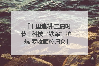 千里追耕·三夏时节丨科技“铁军”护航 麦收颗粒归仓