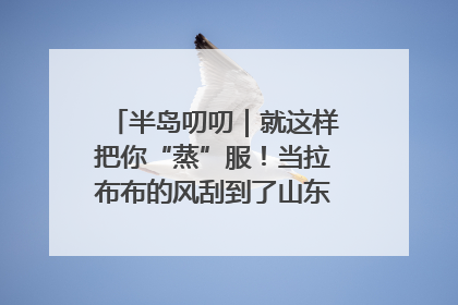 半岛叨叨｜就这样把你“蒸”服！当拉布布的风刮到了山东馒头界……