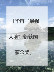华容“最强大脑”斩获国家金奖