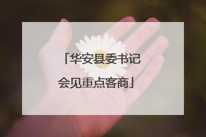 华安县委书记会见重点客商