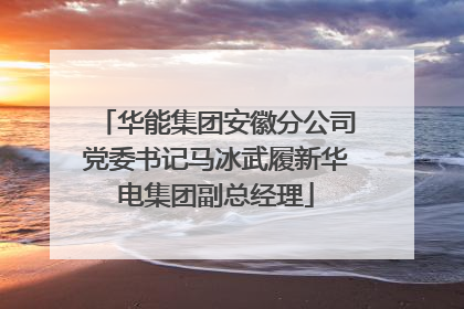 华能集团安徽分公司党委书记马冰武履新华电集团副总经理