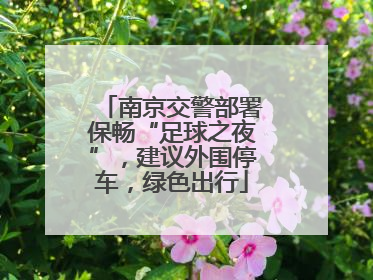 南京交警部署保畅“足球之夜”，建议外围停车，绿色出行