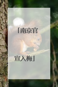 南京官宣入梅