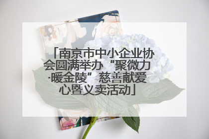 南京市中小企业协会圆满举办“聚微力·暖金陵”慈善献爱心暨义卖活动