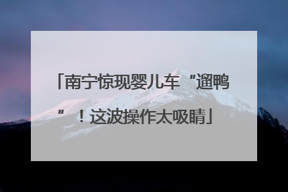 南宁惊现婴儿车“遛鸭”！这波操作太吸睛