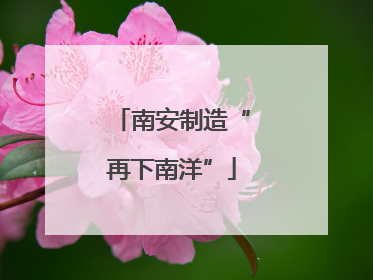 南安制造“再下南洋”