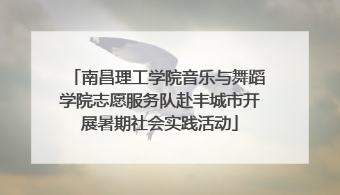 南昌理工学院音乐与舞蹈学院志愿服务队赴丰城市开展暑期社会实践活动