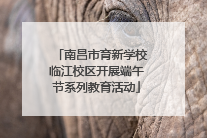 南昌市育新学校临江校区开展端午节系列教育活动