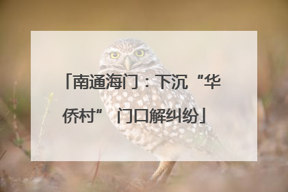 南通海门：下沉“华侨村” 门口解纠纷
