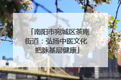 南阳市宛城区茶庵街道：弘扬中医文化 把脉基层健康