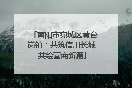 南阳市宛城区黄台岗镇：共筑信用长城 共绘营商新篇