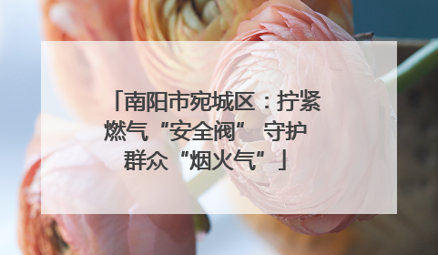 南阳市宛城区：拧紧燃气“安全阀” 守护群众“烟火气”