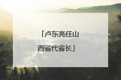 卢东亮任山西省代省长