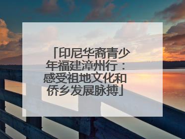 印尼华裔青少年福建漳州行：感受祖地文化和侨乡发展脉搏