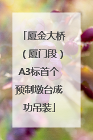 厦金大桥（厦门段）A3标首个预制墩台成功吊装