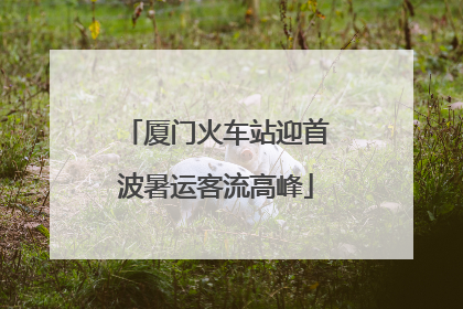 厦门火车站迎首波暑运客流高峰
