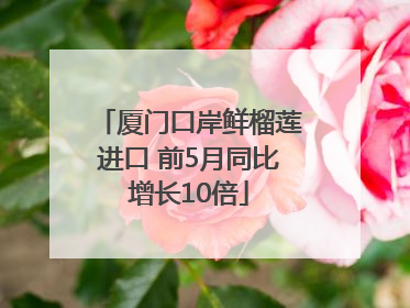 厦门口岸鲜榴莲进口 前5月同比增长10倍