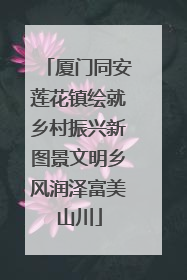 厦门同安莲花镇绘就乡村振兴新图景文明乡风润泽富美山川