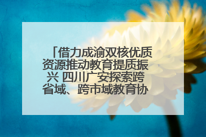 借力成渝双核优质资源推动教育提质振兴 四川广安探索跨省域、跨市域教育协同发展新路径