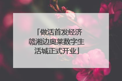 做活首发经济 赣湘边奥莱数字生活城正式开业