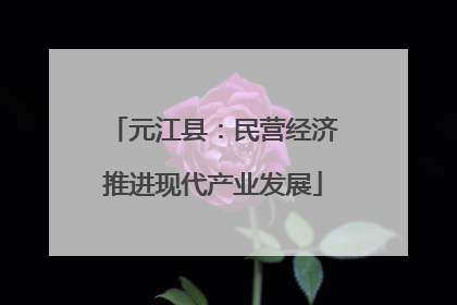 元江县：民营经济推进现代产业发展