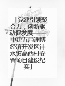 党建引领聚合力，创新驱动促发展——中建五局淄博经济开发区沣水镇高西村安置项目建设纪实