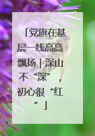 党旗在基层一线高高飘扬｜深山不“深”，初心很“红”